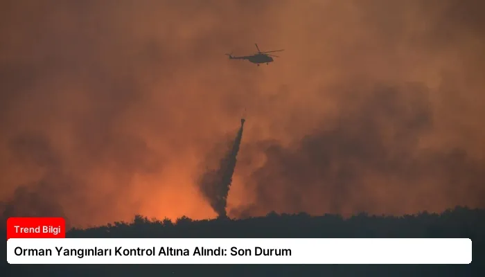 Orman Yangınları Kontrol Altına Alındı: Son Durum