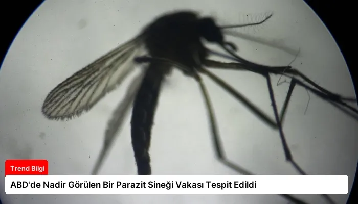 ABD’de Nadir Görülen Bir Parazit Sineği Vakası Tespit Edildi