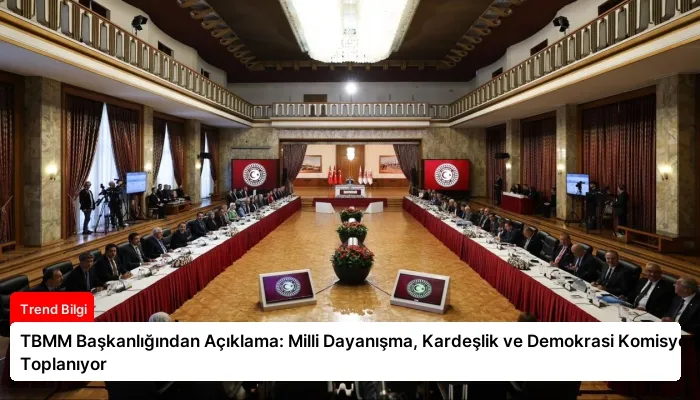 TBMM Başkanlığından Açıklama: Milli Dayanışma, Kardeşlik ve Demokrasi Komisyonu Toplanıyor