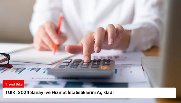 TÜİK, 2024 Sanayi ve Hizmet İstatistiklerini Açıkladı