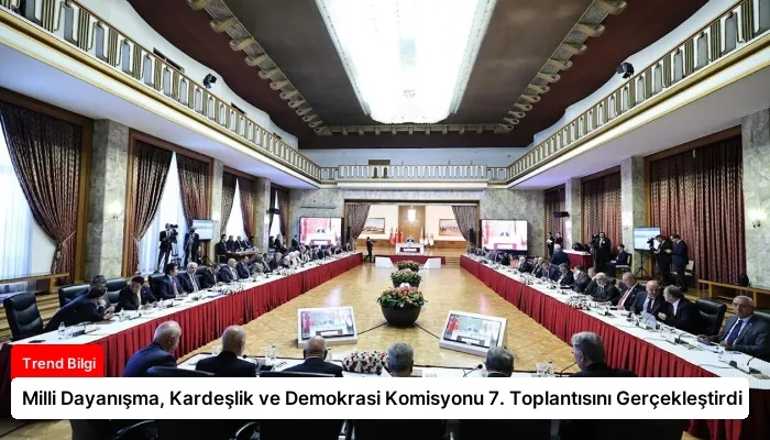 Milli Dayanışma, Kardeşlik ve Demokrasi Komisyonu 7. Toplantısını Gerçekleştirdi