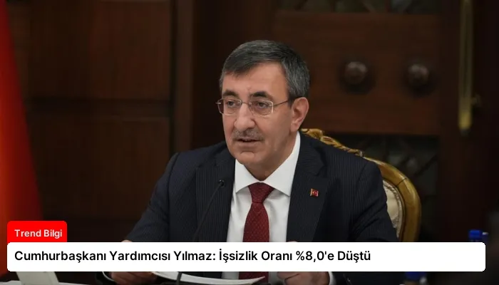 Cumhurbaşkanı Yardımcısı Yılmaz: İşsizlik Oranı %8,0’e Düştü