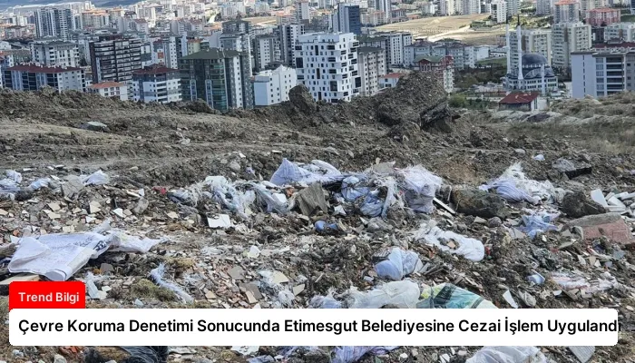 Çevre Koruma Denetimi Sonucunda Etimesgut Belediyesine Cezai İşlem Uygulandı