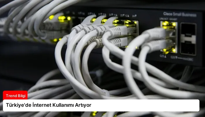 Türkiye’de İnternet Kullanımı Artıyor