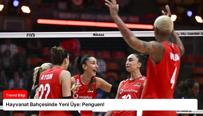 Hayvanat Bahçesinde Yeni Üye: Penguen!