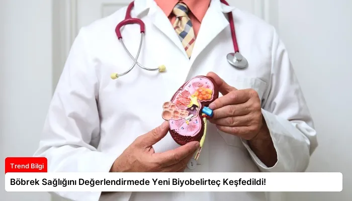 Böbrek Sağlığını Değerlendirmede Yeni Biyobelirteç Keşfedildi!