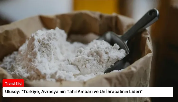Ulusoy: “Türkiye, Avrasya’nın Tahıl Ambarı ve Un İhracatının Lideri”