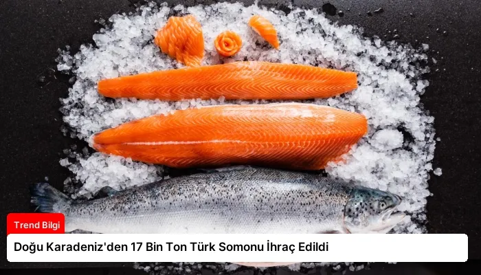 Doğu Karadeniz’den 17 Bin Ton Türk Somonu İhraç Edildi