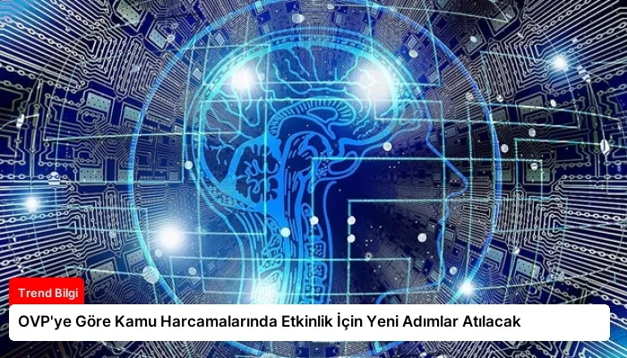 OVP’ye Göre Kamu Harcamalarında Etkinlik İçin Yeni Adımlar Atılacak