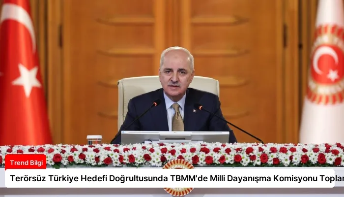 Terörsüz Türkiye Hedefi Doğrultusunda TBMM’de Milli Dayanışma Komisyonu Toplandı
