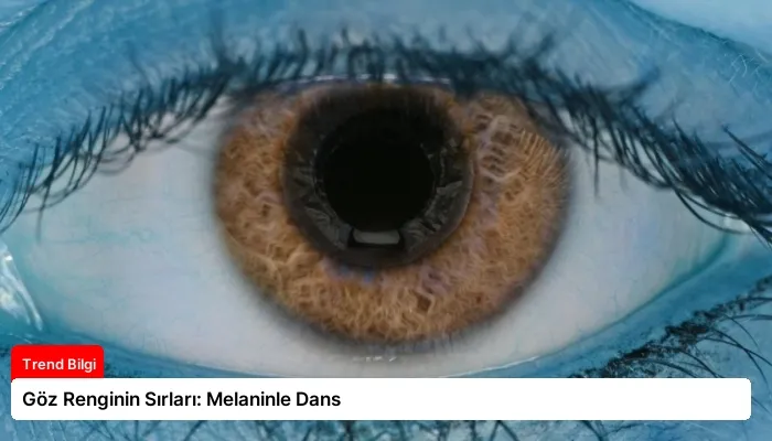 Göz Renginin Sırları: Melaninle Dans