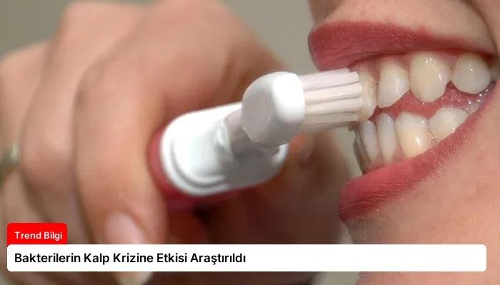 Bakterilerin Kalp Krizine Etkisi Araştırıldı