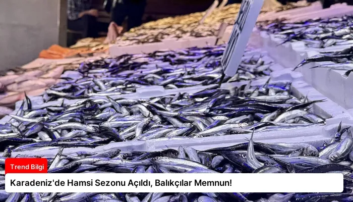 Karadeniz’de Hamsi Sezonu Açıldı, Balıkçılar Memnun!