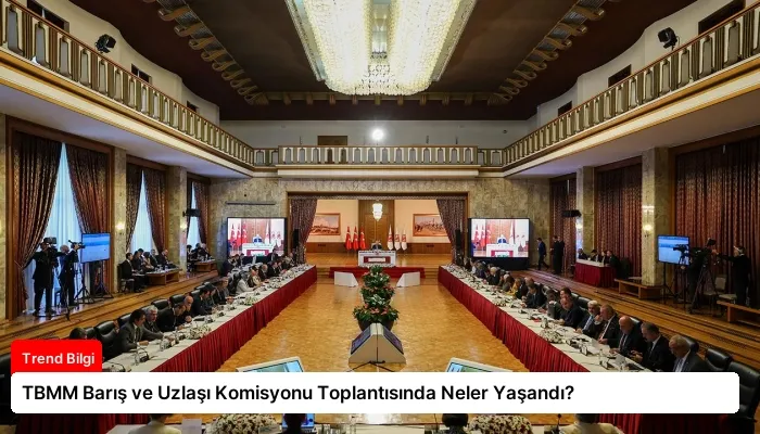 TBMM Barış ve Uzlaşı Komisyonu Toplantısında Neler Yaşandı?