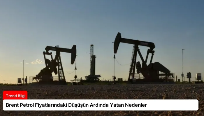 Brent Petrol Fiyatlarındaki Düşüşün Ardında Yatan Nedenler