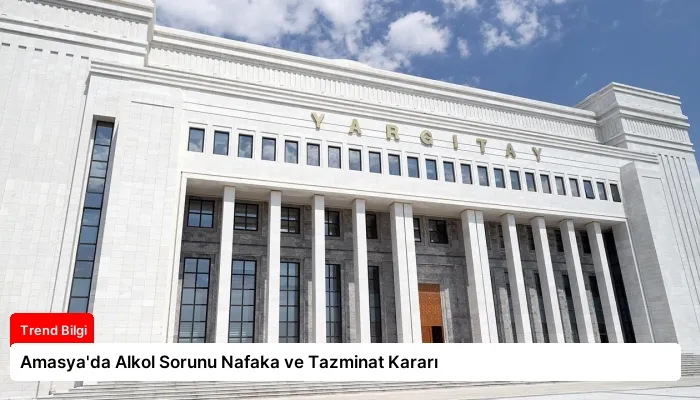Amasya’da Alkol Sorunu Nafaka ve Tazminat Kararı