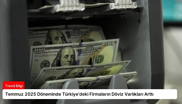 Temmuz 2025 Döneminde Türkiye’deki Firmaların Döviz Varlıkları Arttı