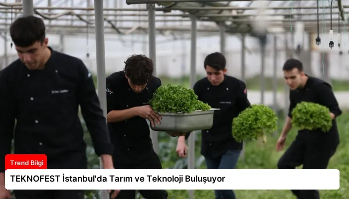TEKNOFEST İstanbul’da Tarım ve Teknoloji Buluşuyor