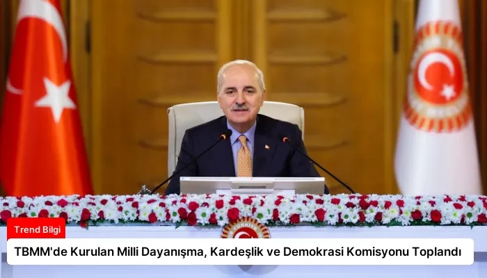 TBMM’de Kurulan Milli Dayanışma, Kardeşlik ve Demokrasi Komisyonu Toplandı