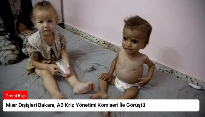 Mısır Dışişleri Bakanı, AB Kriz Yönetimi Komiseri İle Görüştü