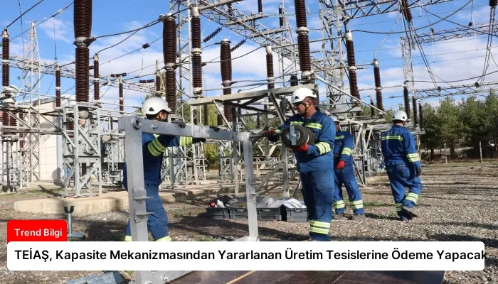 TEİAŞ, Kapasite Mekanizmasından Yararlanan Üretim Tesislerine Ödeme Yapacak