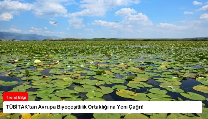 TÜBİTAK’tan Avrupa Biyoçeşitlilik Ortaklığı’na Yeni Çağrı!