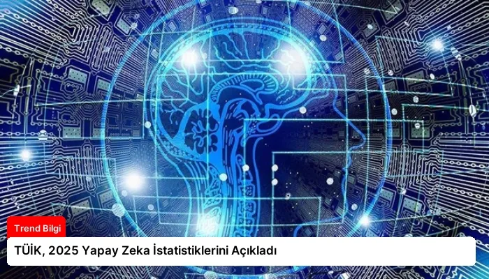 TÜİK, 2025 Yapay Zeka İstatistiklerini Açıkladı