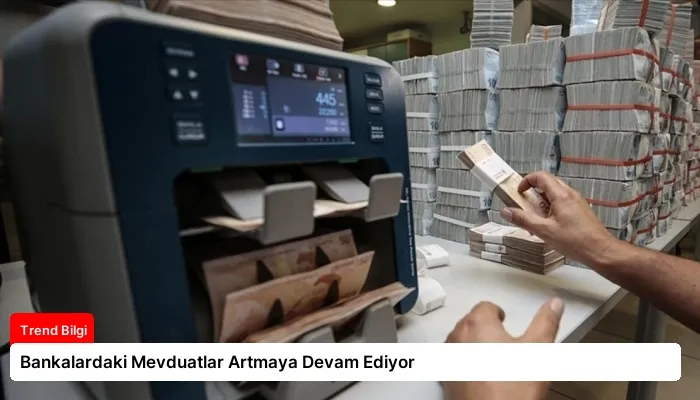 Bankalardaki Mevduatlar Artmaya Devam Ediyor