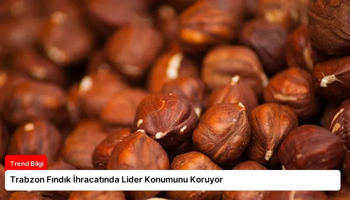 Trabzon Fındık İhracatında Lider Konumunu Koruyor