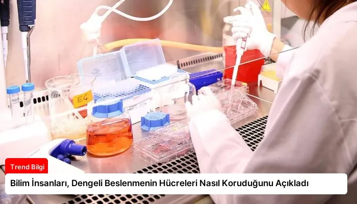 Bilim İnsanları, Dengeli Beslenmenin Hücreleri Nasıl Koruduğunu Açıkladı