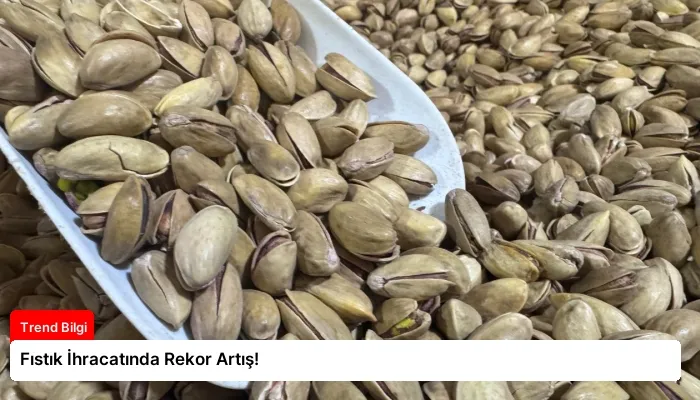 Fıstık İhracatında Rekor Artış!