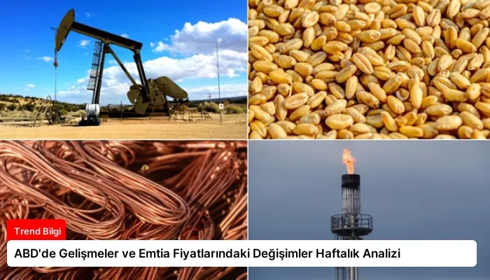 ABD’de Gelişmeler ve Emtia Fiyatlarındaki Değişimler Haftalık Analizi