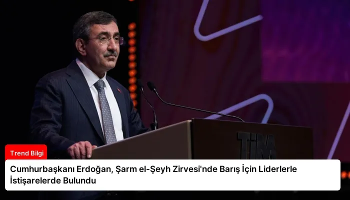 Cumhurbaşkanı Erdoğan, Şarm el-Şeyh Zirvesi’nde Barış İçin Liderlerle İstişarelerde Bulundu