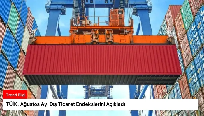 TÜİK, Ağustos Ayı Dış Ticaret Endekslerini Açıkladı