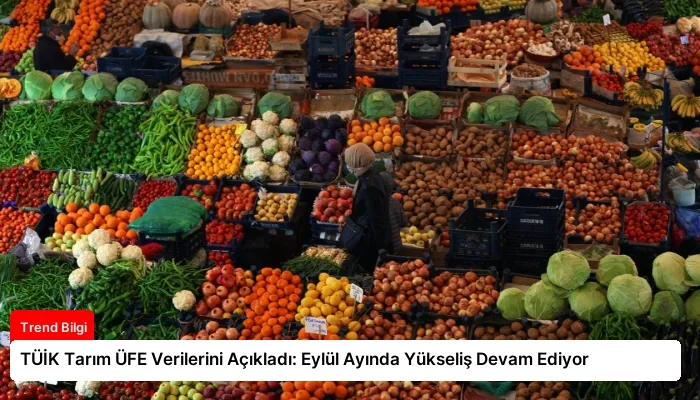 TÜİK Tarım ÜFE Verilerini Açıkladı: Eylül Ayında Yükseliş Devam Ediyor