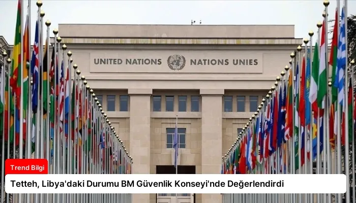 Tetteh, Libya’daki Durumu BM Güvenlik Konseyi’nde Değerlendirdi