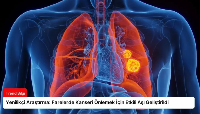 Yenilikçi Araştırma: Farelerde Kanseri Önlemek İçin Etkili Aşı Geliştirildi