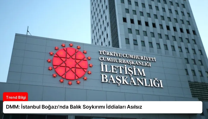DMM: İstanbul Boğazı’nda Balık Soykırımı İddiaları Asılsız