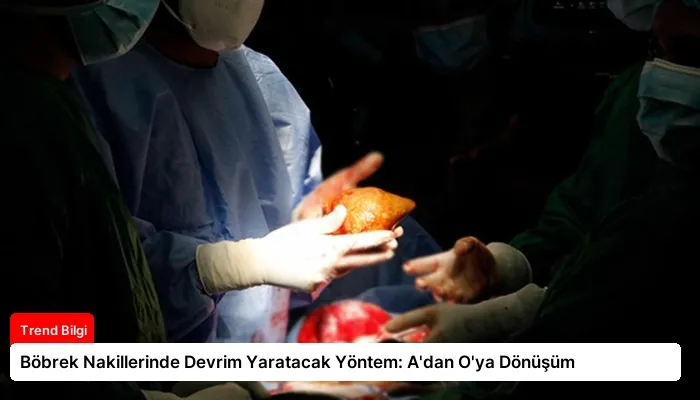 Böbrek Nakillerinde Devrim Yaratacak Yöntem: A’dan O’ya Dönüşüm