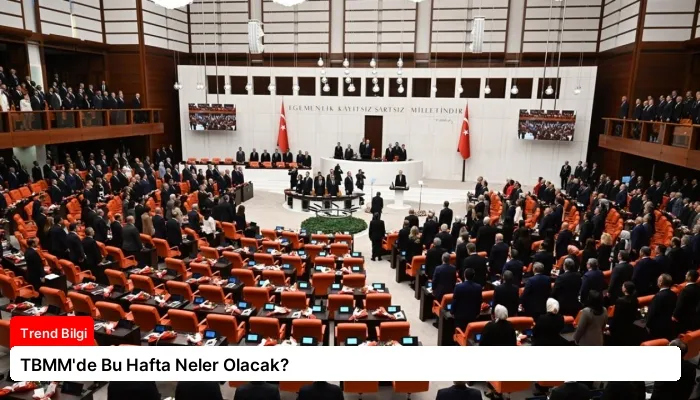 TBMM’de Bu Hafta Neler Olacak?