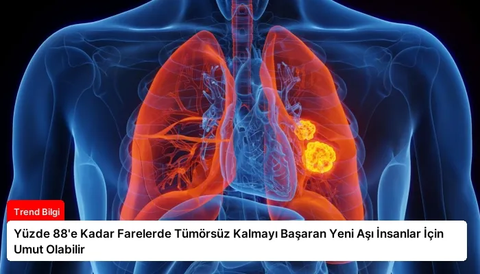 Yüzde 88’e Kadar Farelerde Tümörsüz Kalmayı Başaran Yeni Aşı İnsanlar İçin Umut Olabilir