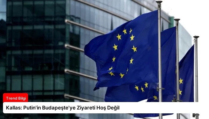Kallas: Putin’in Budapeşte’ye Ziyareti Hoş Değil