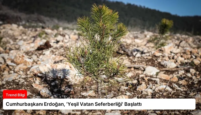 Cumhurbaşkanı Erdoğan, ‘Yeşil Vatan Seferberliği’ Başlattı