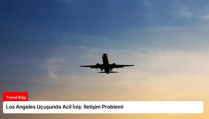 Los Angeles Uçuşunda Acil İniş: İletişim Problemi