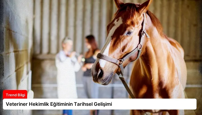 Veteriner Hekimlik Eğitiminin Tarihsel Gelişimi