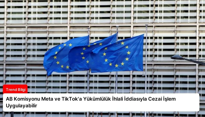 AB Komisyonu Meta ve TikTok’a Yükümlülük İhlali İddiasıyla Cezai İşlem Uygulayabilir
