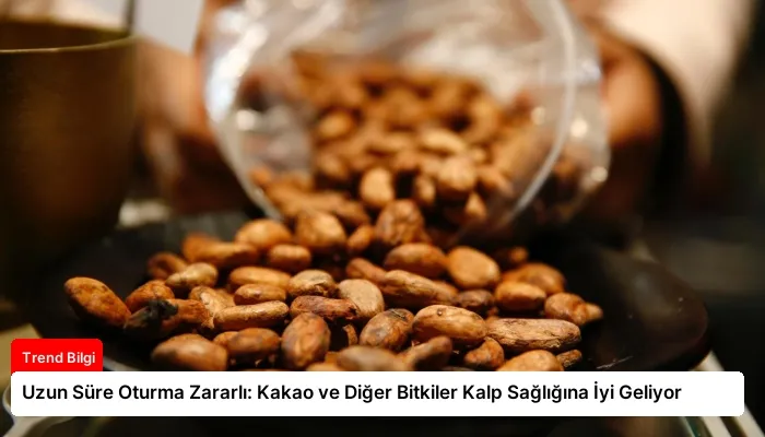 Uzun Süre Oturma Zararlı: Kakao ve Diğer Bitkiler Kalp Sağlığına İyi Geliyor
