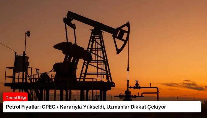 Petrol Fiyatları OPEC+ Kararıyla Yükseldi, Uzmanlar Dikkat Çekiyor