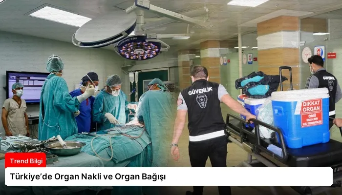 Türkiye’de Organ Nakli ve Organ Bağışı