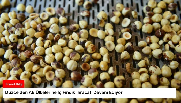 Düzce’den AB Ülkelerine İç Fındık İhracatı Devam Ediyor